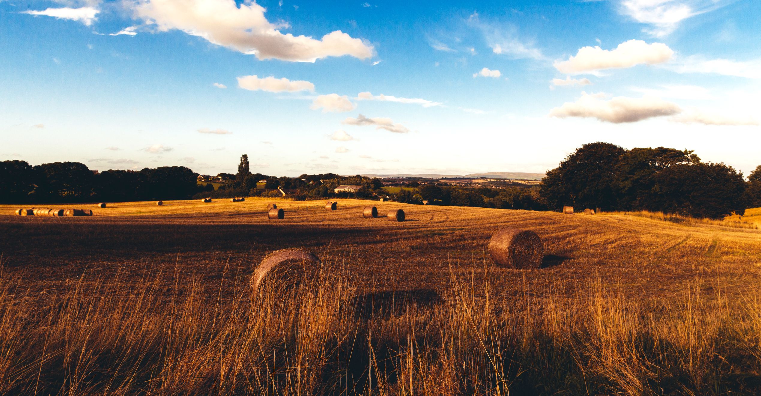 Vue d’un champs en campagne